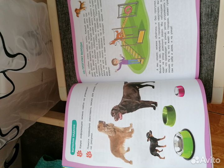 Рабочая тетрадь (новая)