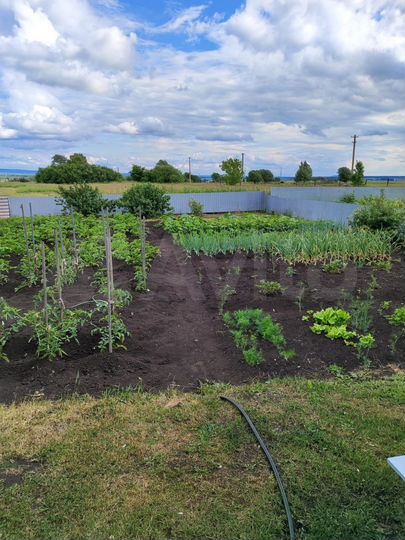 Дом 79,8 м² на участке 32 сот.