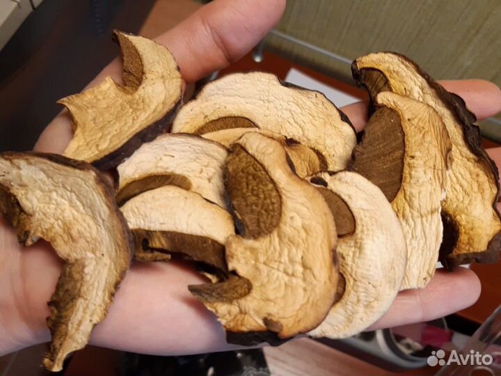 Белый гриб сухой