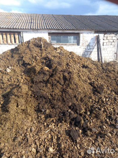 Чернозем перегной земля