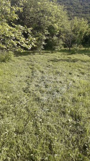 Участок 6 сот. (СНТ, ДНП)