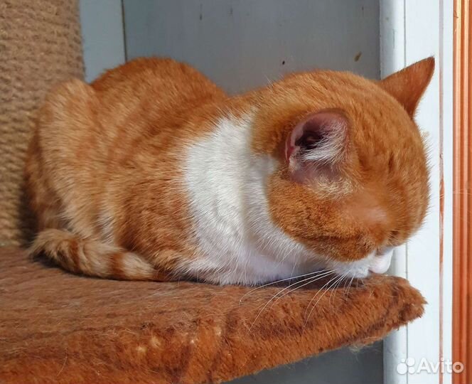 Мама не видит Веснушку,листает,листает, и не видит