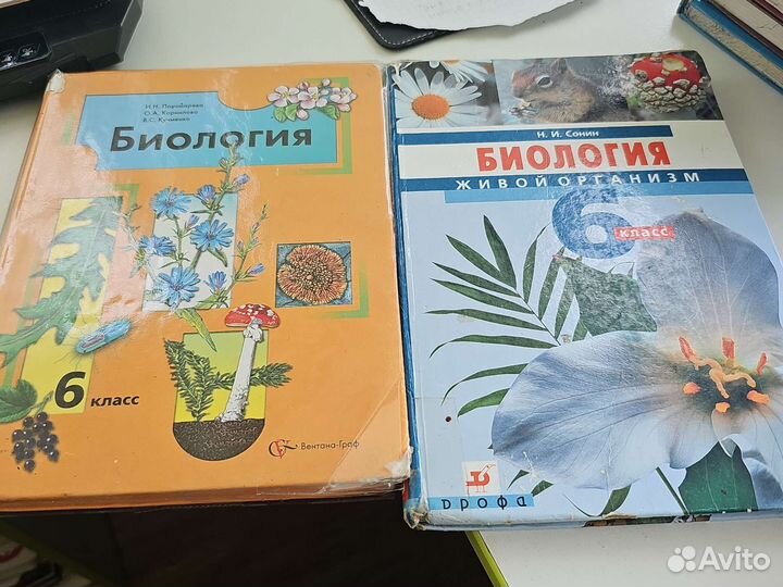 Биология 6 класс