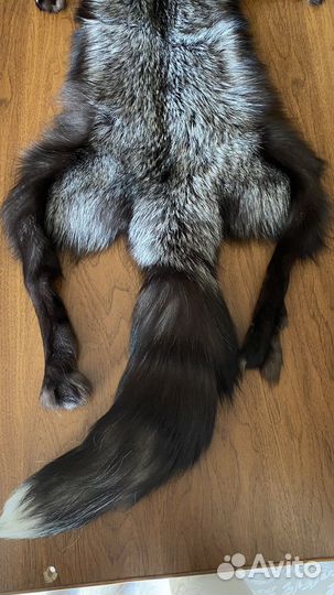 Шкурки чернобурки