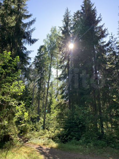 Участок 9 сот. (СНТ, ДНП)