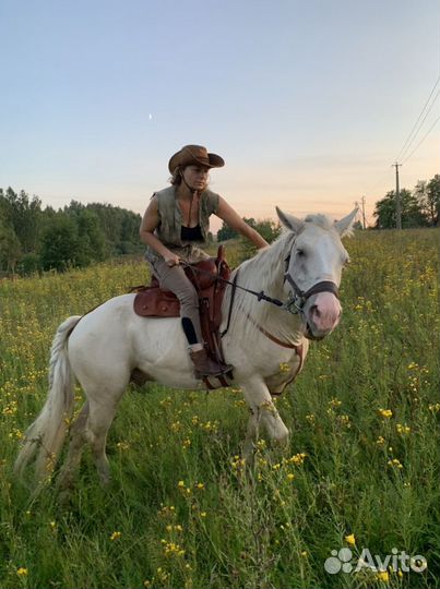 Катание на лошадях