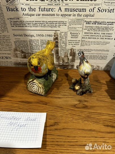 Декоративные птицы