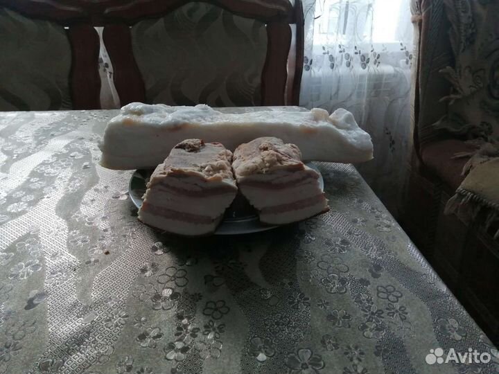 Сало свиное породы венгерской мангалицы