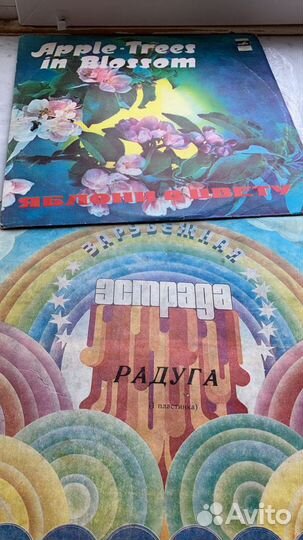 Виниловые пластинки