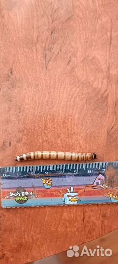 Зофобас корм живой