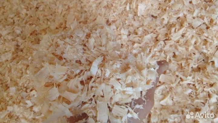 Стружка сухой для домашних животных сосна,ель