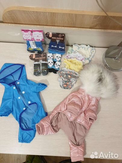 Одежда для собак. Новое