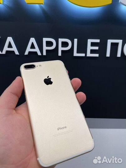 Готовый бизнес кингстор