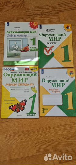 Окружающий мир тетради 1 класс