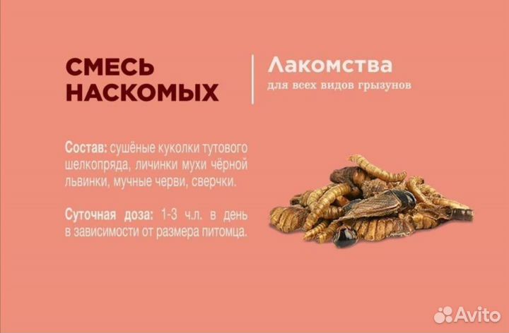 Лакомство для грызунов