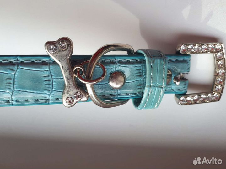 Ошейник для собак