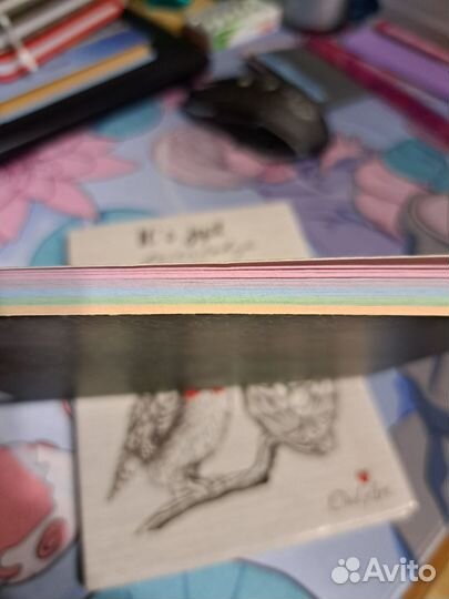 Блокнот и ежедневник