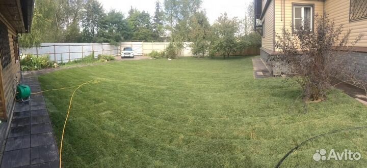 Рулонный газон от производителя стандарт