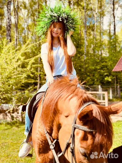 Катание на лошади,конные прогулки