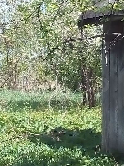 Участок 15 сот. (ИЖС)