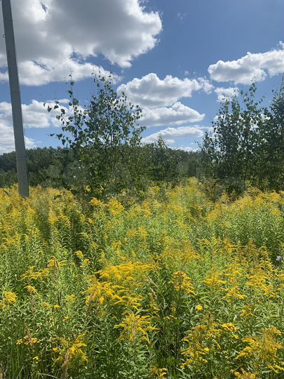 Участок 10 сот. (ИЖС)