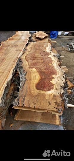 Эксклюзивные слэбы карагача, 5 м в длину