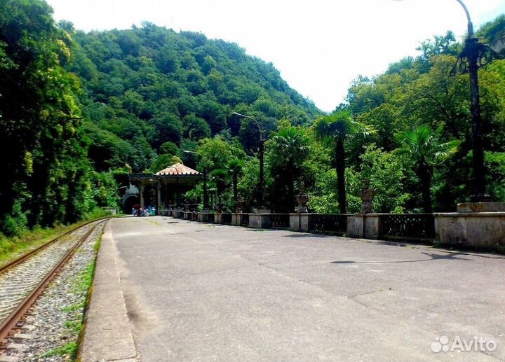 Экскурсия в Абхазию / Индивидуальный тур