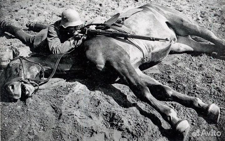 Подкова неудачи (немецкая 1943г.)