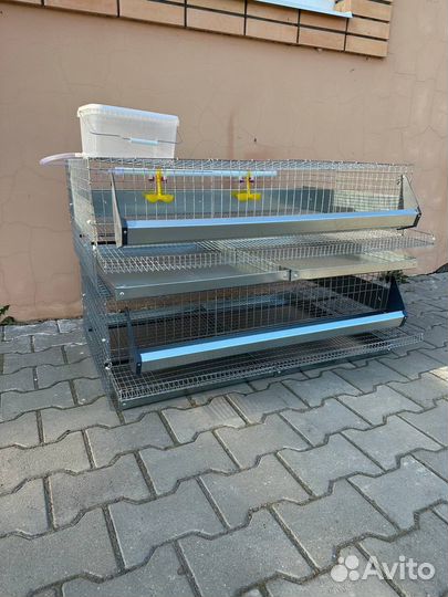 Клетки для перепелов на 100 голов