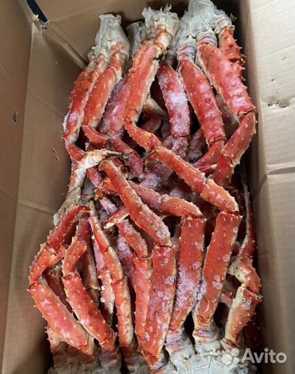 Конечности камчатского краба