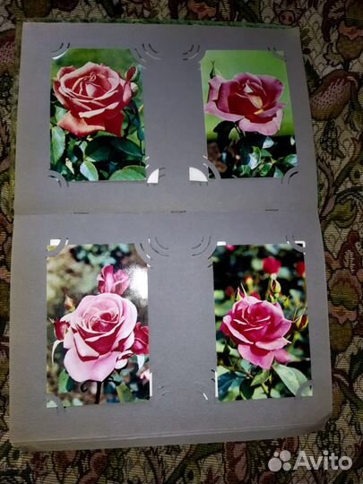 Открытки СССР