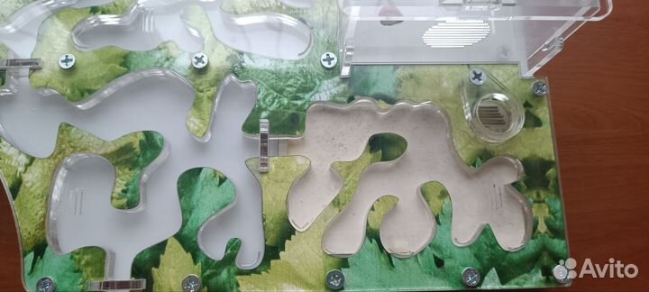 Муравьиная ферма Макси