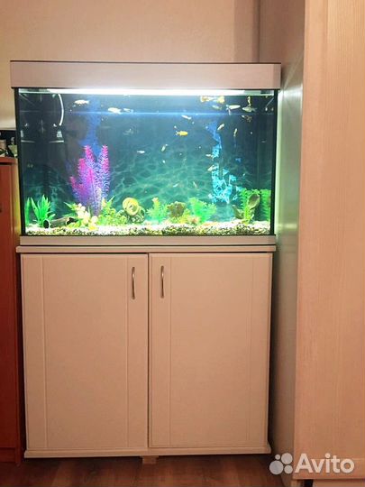 Аквариум
