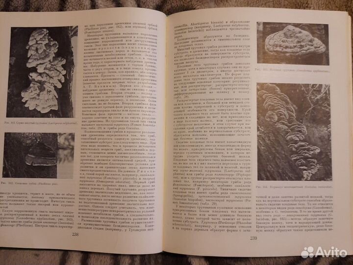 Книги о растениях и животных. Большие