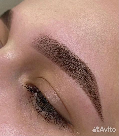 Обучение бровист 