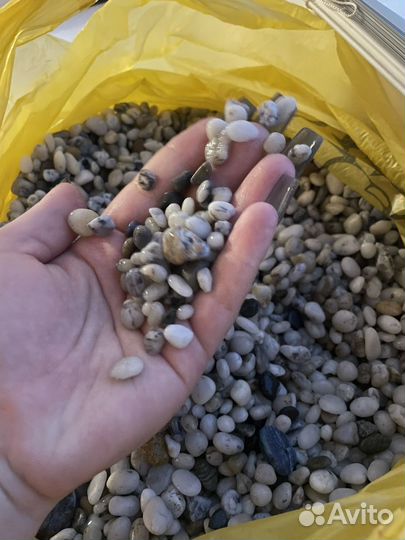 Грунт для аквариума