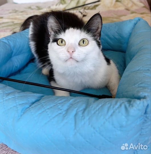 Стефания хочет домой