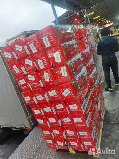 Искусственные елки оптом. Ель Королева Премиум опт