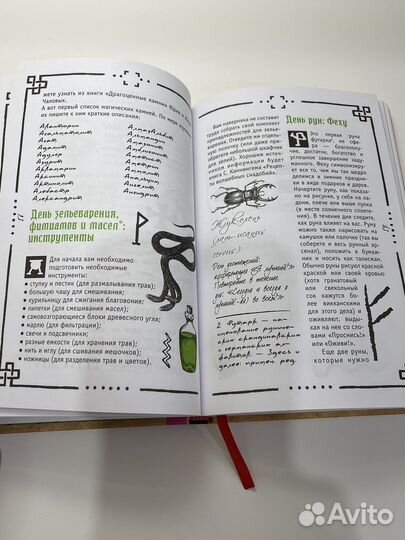 Книга теней. Викка