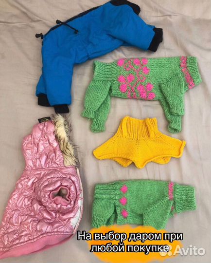 Одежда для собак