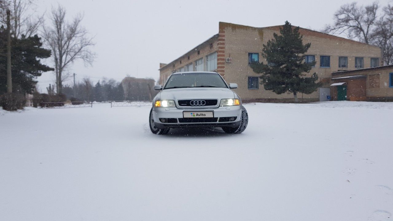 Audi A4: фото владельца
