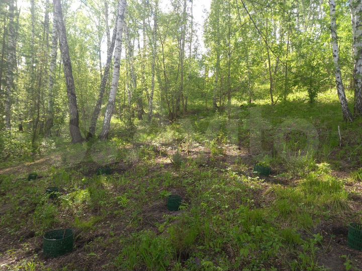 Участок 19 сот. (ИЖС)