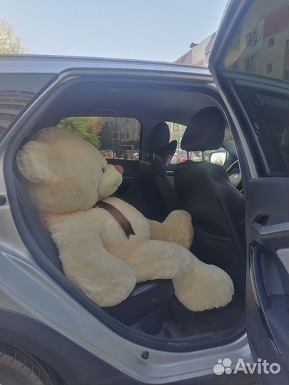 Большие плюшевые медведи