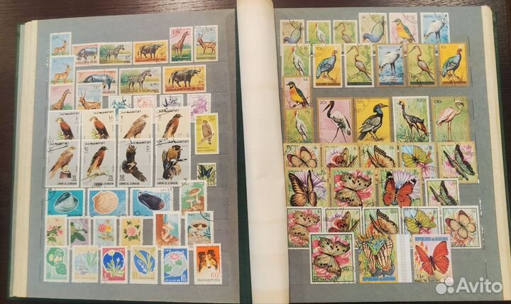 Большой альбом марок. Флора и фауна