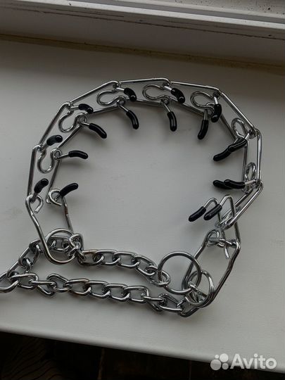 Строгий ошейник для собак