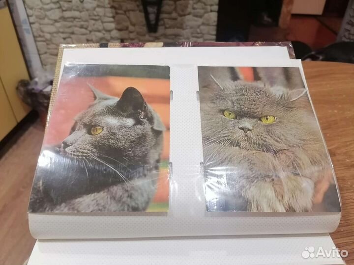Открытки СССР с котами