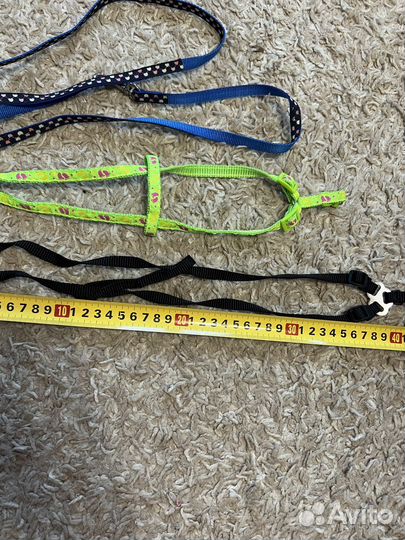 Шлейки и поводок