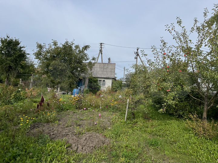 Участок 5,2 сот. (СНТ, ДНП)