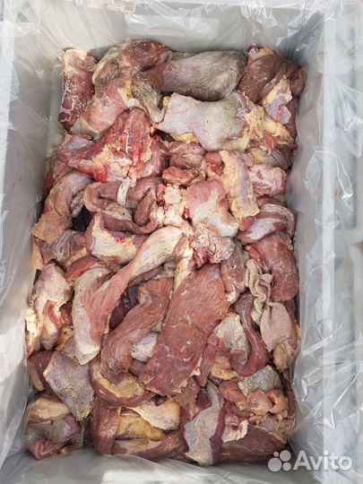 Мясо для животных