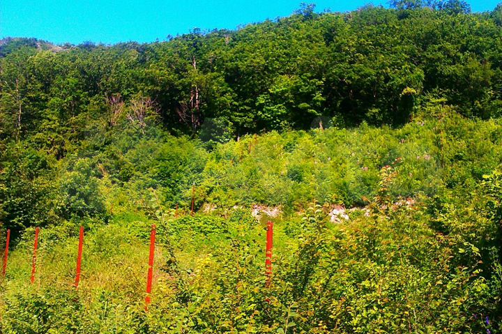 Участок 6,2 сот. (ИЖС)